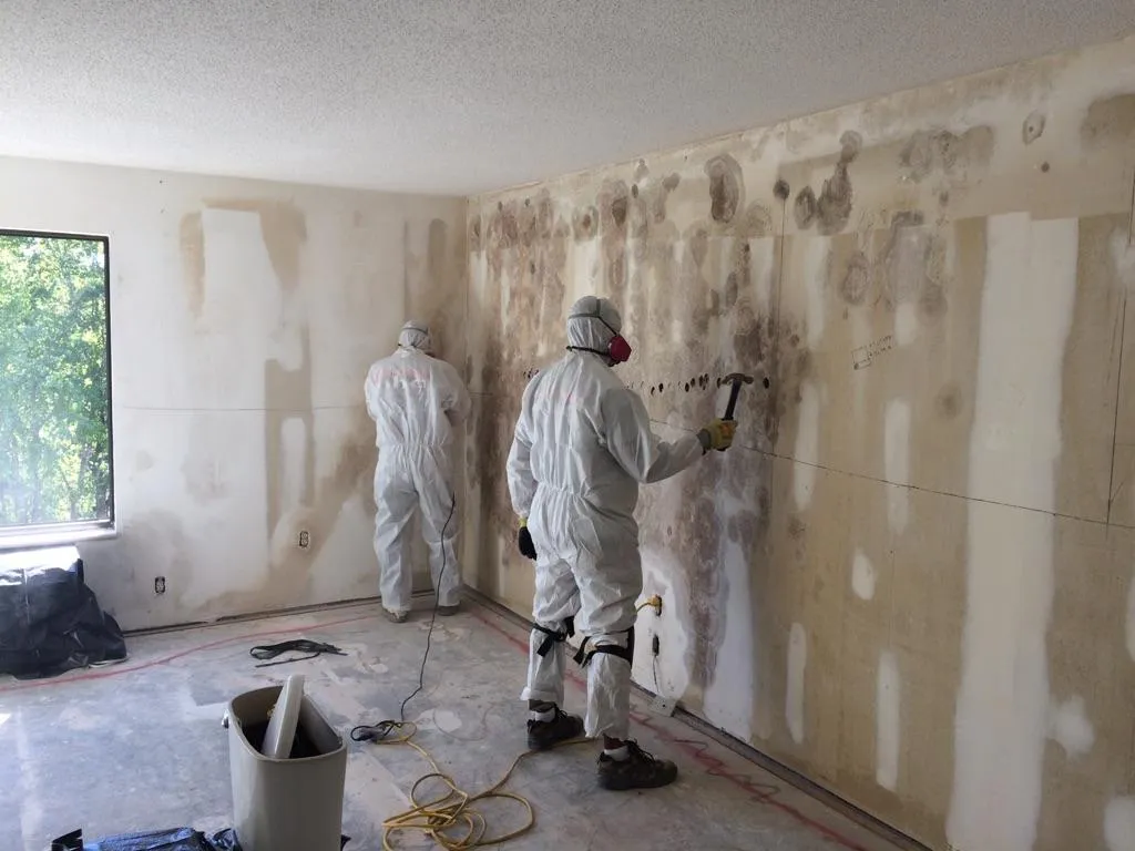 Fast Response Team for mold remediation buda tx