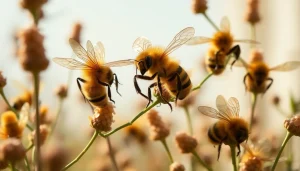 Cuadros de colmena mostrando abejas trabajando en un hermoso día soleado.