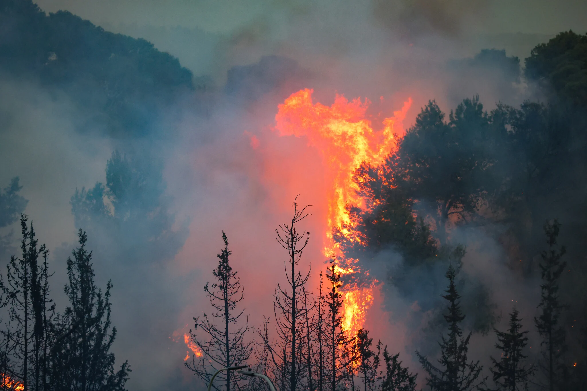 Wild Fire Events Bringing Energy, Fun, and Adventure