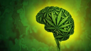cannabis-effects-brain-mental-health